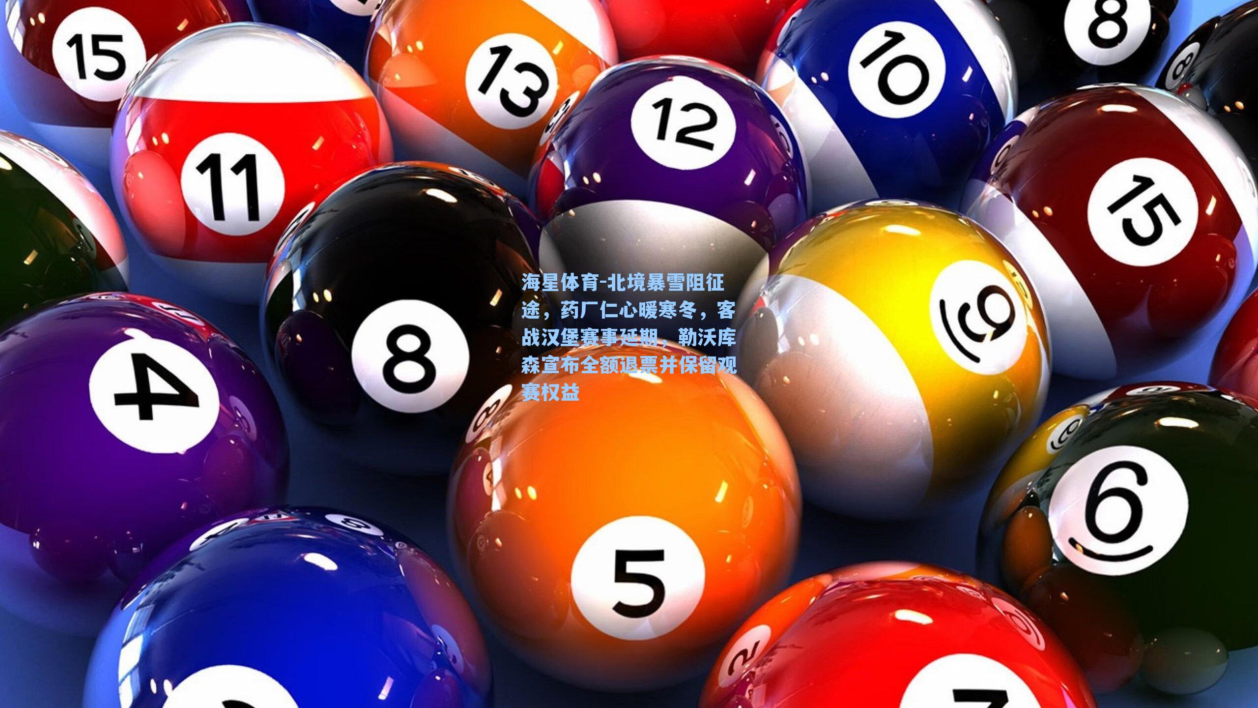 海星体育-北境暴雪阻征途，药厂仁心暖寒冬，客战汉堡赛事延期，勒沃库森宣布全额退票并保留观赛权益-第1张图片-海星体育-全球体育赛事直播与实时比分平台