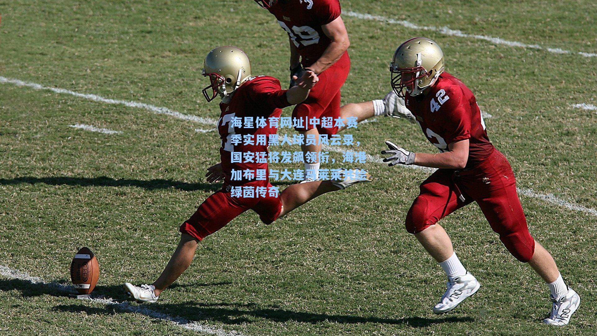 海星体育网址|中超本赛季实用黑人球员风云录，国安猛将发飙领衔，海港加布里与大连马莱莱共绘绿茵传奇-第2张图片-海星体育-全球体育赛事直播与实时比分平台